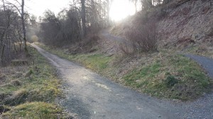 roman_bridge_path_web